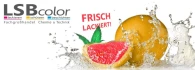 Logo LSBcolor e.K. Fachgroßhandel für Chemietechnik