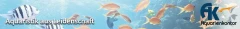 Logo LTE - Aquarienkontor Christian Tyburski