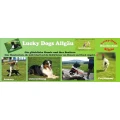 Logo Lucky Dogs Allg&auml;u Hundeschule Brigitte Pfeilschifter