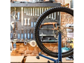 fahrradlenker fr hollandrad Gazelle G-Touren Damen Hollandrad 28 Zoll 5-Gang Rcktritt kaufen  Der  Hollnder Fahrradgeschft