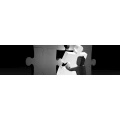 Logo Ludwig Systemelektronik