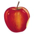 Logo L&uuml;tauer S&uuml;&szlig;mosterei GmbH