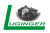 Logo Luginger Steuerberatungsgesellschaft mbH
