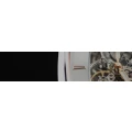 Logo Friedrich, Lutz