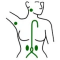 Logo Bundesverband Lymphselbsthilfe e.V.