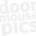 Logo Madl Mario