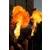 Logo Magicum Ignis Feuershow / Feuerspucker