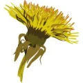 Logo Oetter, Maike