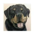 Logo majo-the-artist