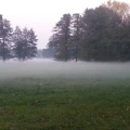 Makler.Hausbrandt - Versicherungs-, Kredit-, Strom- und Gasmakler L&uuml;bbenau