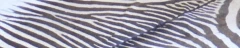 Logo Malerbetrieb Bernhard Huthmacher