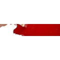 Logo Malereibetrieb Reichardt GmbH