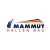 Logo Mammut Hallen Bau GmbH