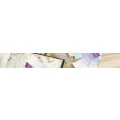 Logo Reuter, Manfred