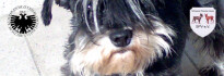Logo Manuela Fröhlich