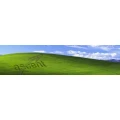 Logo Marco Stege Ascent AG