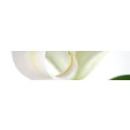 Logo Ress, Margherita