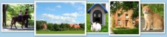 Logo Margret Rafflenbeul Karl-Ludwig Naturland Julianenhof