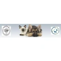 Logo Marianne Menk-Preiss M.A. Tierheilpraktikerin