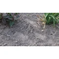 Mario Th&ouml;r Garten- und Landschaftsbau Spenge