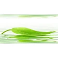Marion Bischoff Psychotherapeutische Heilpraktikerin Grafing