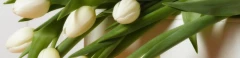 Logo Marion Hirsch Ganzheitliche Hypnose Therapeutin