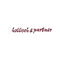 Logo Hollisch, Markus