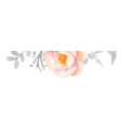 Logo Bellwinkel, Martin