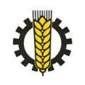 Logo Storr, Martin