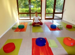 Martina Reck Yoga-Ditzingen Ditzingen