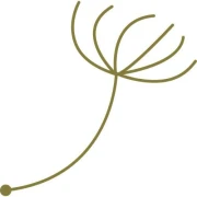 Logo Massage Andrea Kern