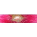Logo Massagepraxis Luise Weihe