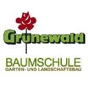 Logo Grünewald, Matthias