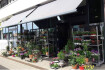 Logo Matthias und Hans-Peter Zahn GbR Blumenhandel