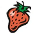 Logo Seibold, Max