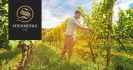Logo May-Weißheimer Steinmühle Weingut