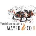 Mayer & Co. GmbH Gundremmingen