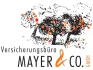 Logo Mayer & Co. GmbH