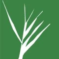 Logo Mayer & Kollegen Steuerberatungsgesellschaft KG