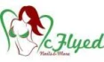 Logo McFlyed