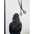 MCH Haarstudio Frankfurt