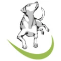 Logo Meat for Dogs