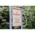 Logo Holtmann, Mechthild