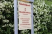 Logo Mechthild Holtmann Heipraktikerin