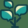 Logo Keyvan Haghighat Mehr - media by nature