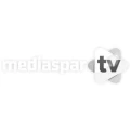 Logo mediaspar GmbH