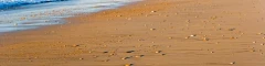 Logo Mehr Meer - Ostseeurlaub im Reetdachhaus