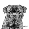 Logo Engel, Meike