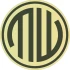 Logo MEINSTEIN Wetterau - Karben