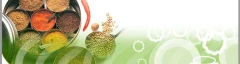 Logo Melanie Monscheuer Ern&auml;hrungsberatung